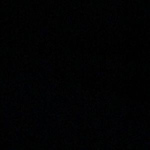 Meet your Posher, Riley